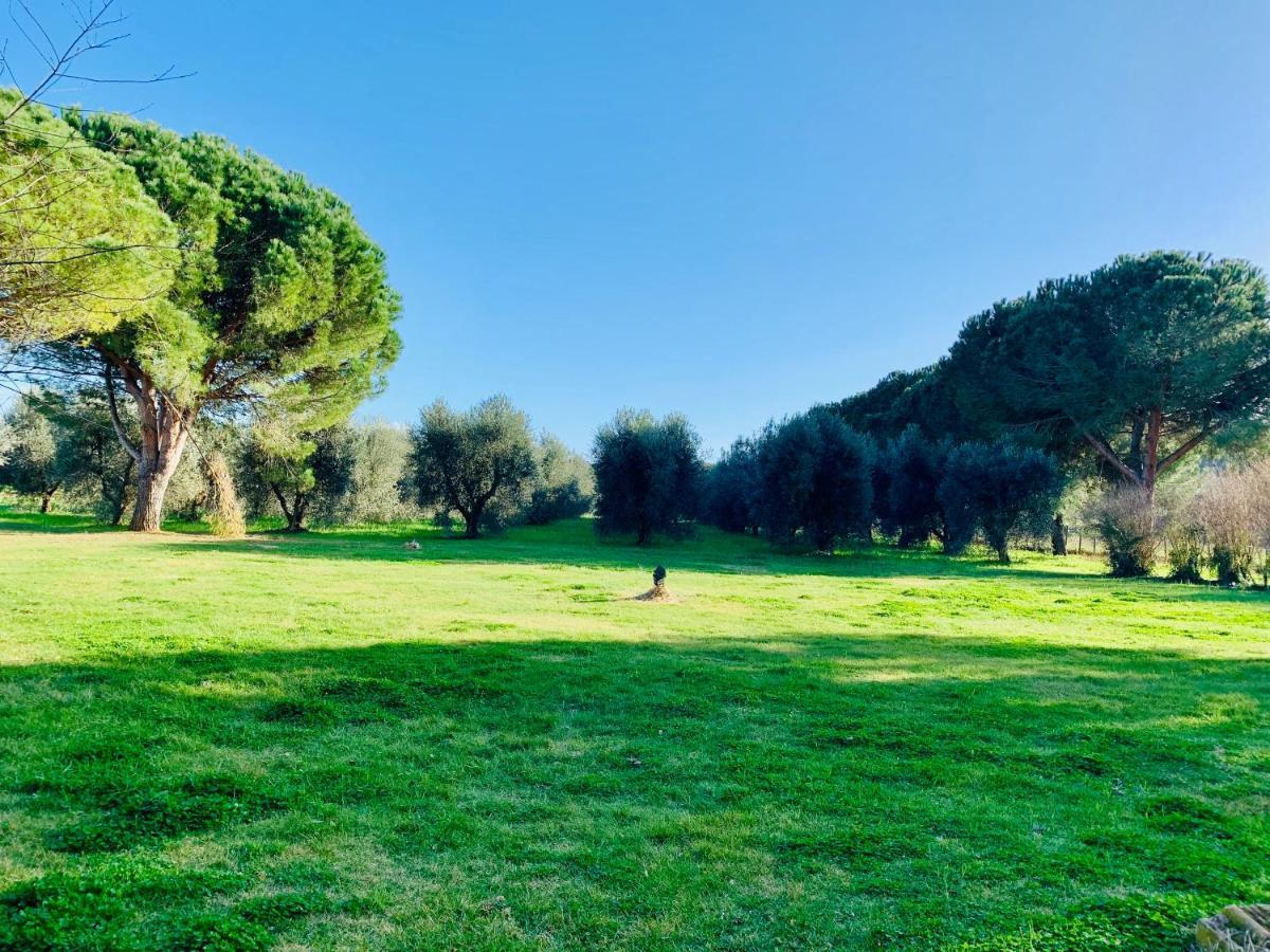 Il Borghetto Di Ansedonia Leilighet Eksteriør bilde