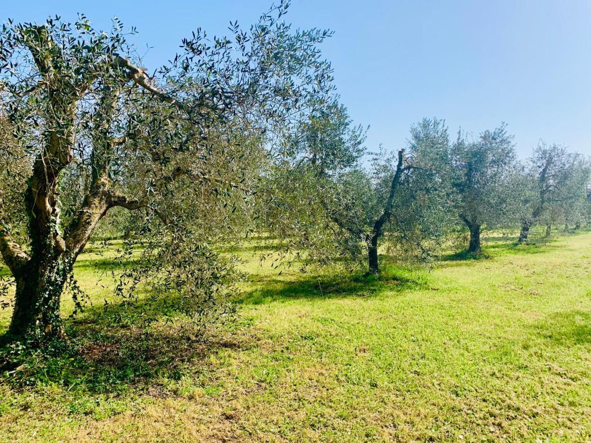 Il Borghetto Di Ansedonia Leilighet Eksteriør bilde