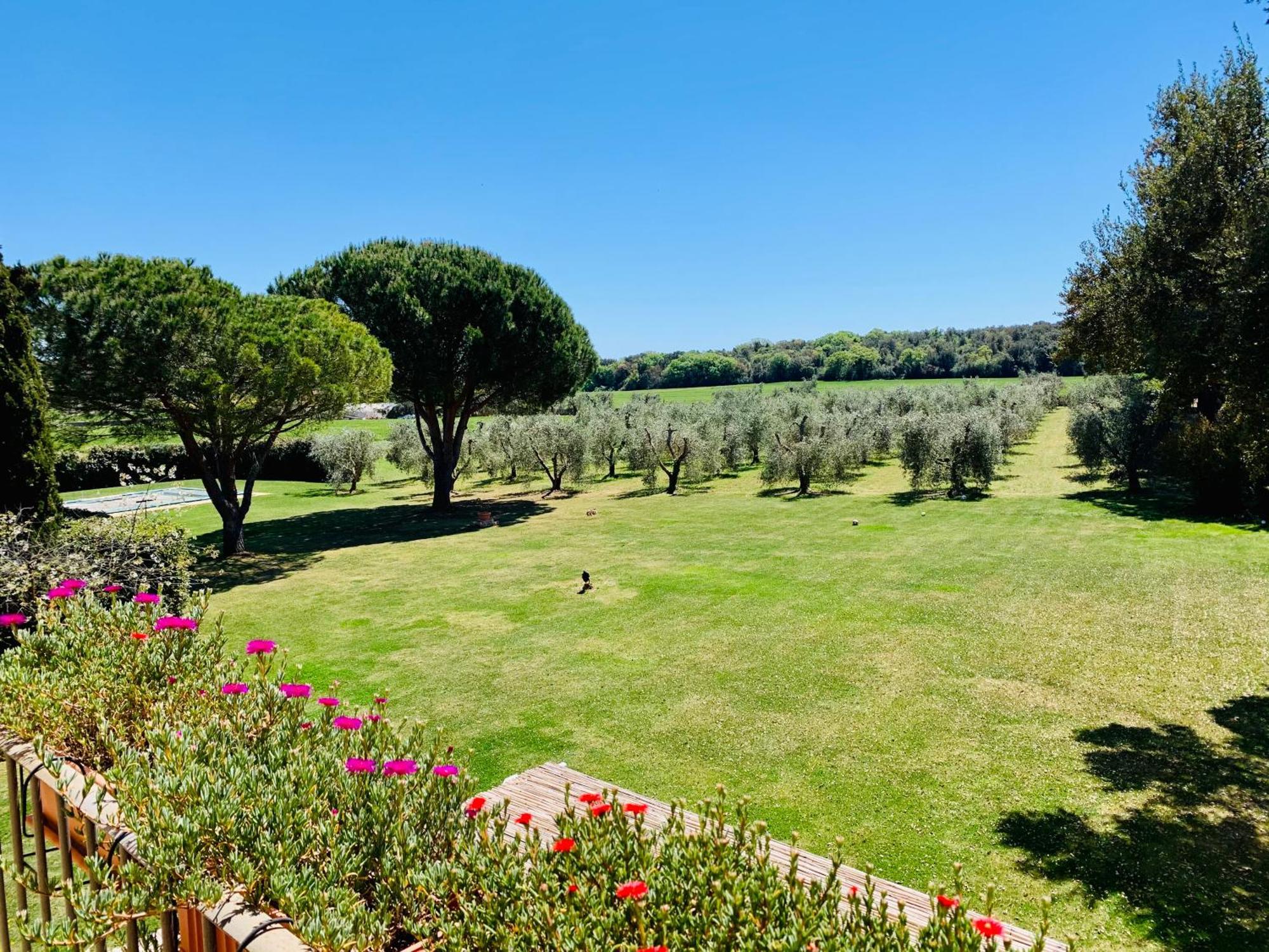 Il Borghetto Di Ansedonia Leilighet Eksteriør bilde