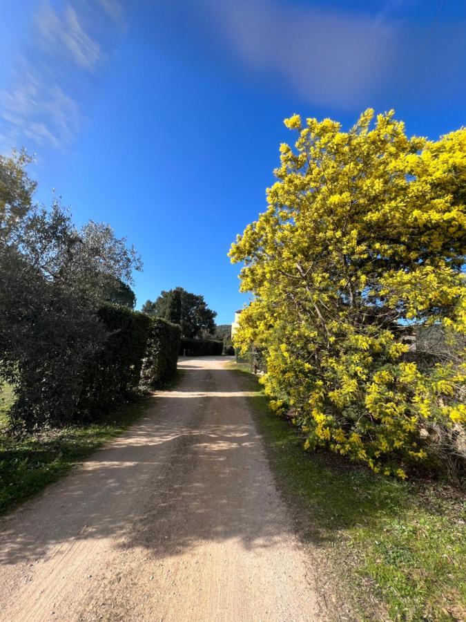 Il Borghetto Di Ansedonia Leilighet Eksteriør bilde