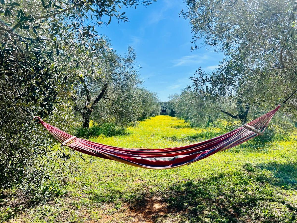 Il Borghetto Di Ansedonia Leilighet Eksteriør bilde